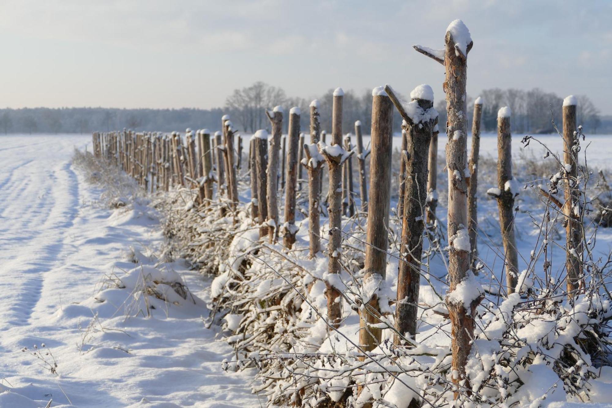 Naturgarten Karlsfeld In Der Schoenen Lausitz Welzow Exteriör bild